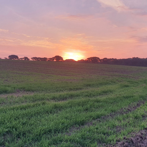 Evaluer un bien agricole